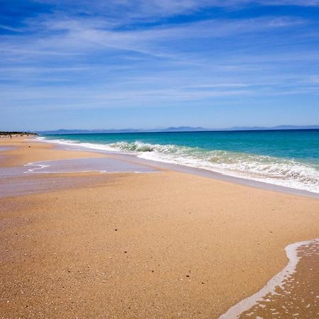 Bonito Torremar Apartamento Ref 7007 Daire Torrevieja Dış mekan fotoğraf